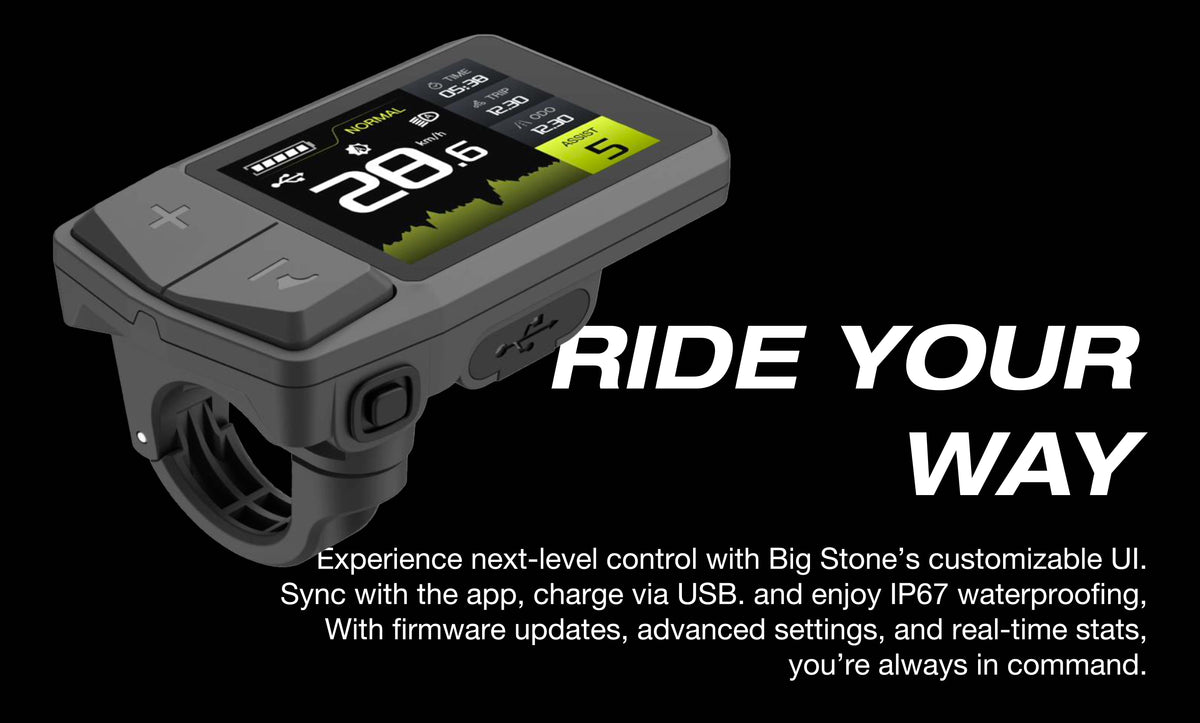 ONSRA VANDAL e-bike – LCD screen
