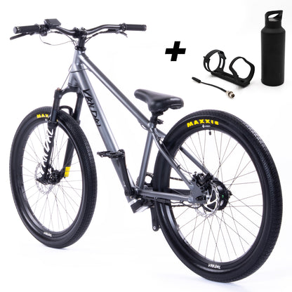 VANDAL - E-Bike